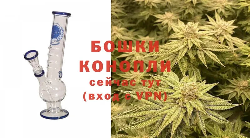 Каннабис THC 21%  где можно купить наркотик  Орехово-Зуево 